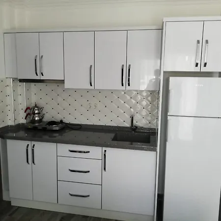 Cicek * ディディム