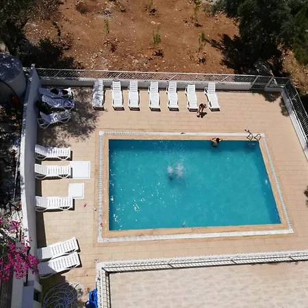 Cicek * ディディム