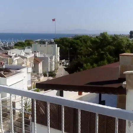 Cicek * ディディム