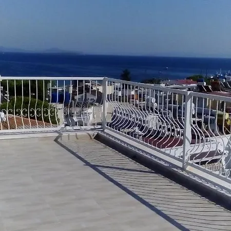 Cicek ディディム