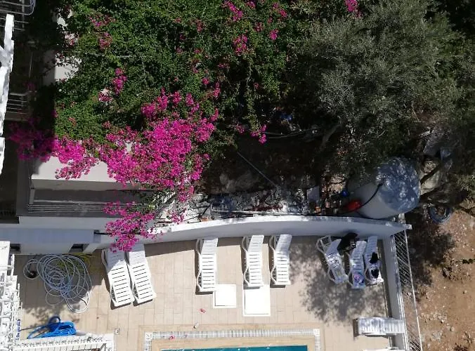 Cicek מלון דירות